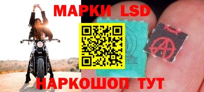 скорость Новозыбков