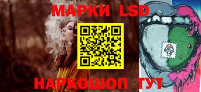 скорость Новозыбков