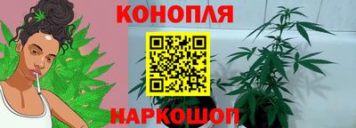 скорость Новозыбков