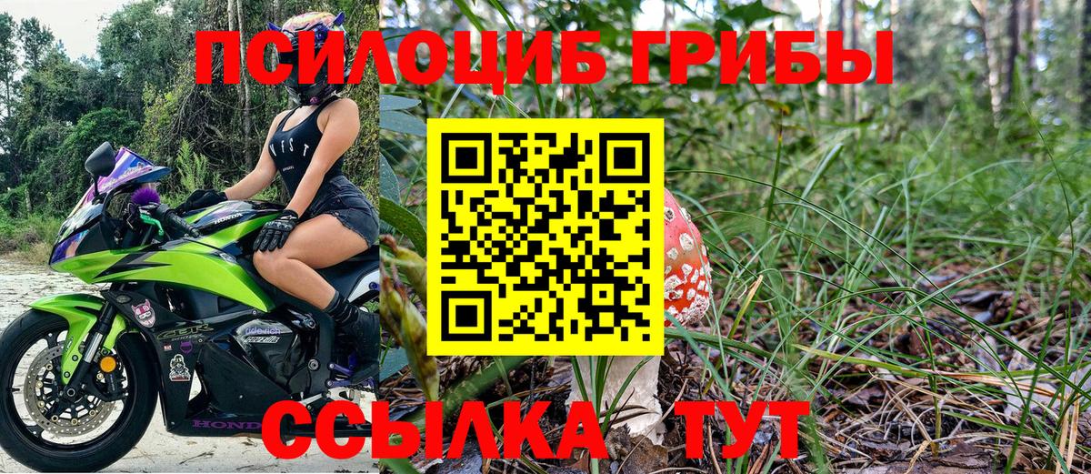 Галлюциногенные грибы Cubensis  Вход с VPN  Алексин 